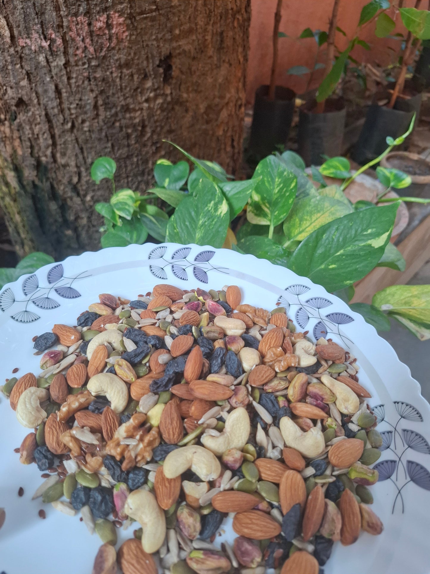 RDS GLOWUP premium nuts,seeds and fruits mix  LIMITED EDITION